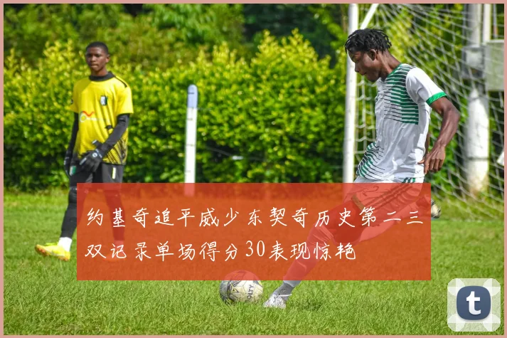 约基奇追平威少东契奇历史第二三双记录单场得分30表现惊艳