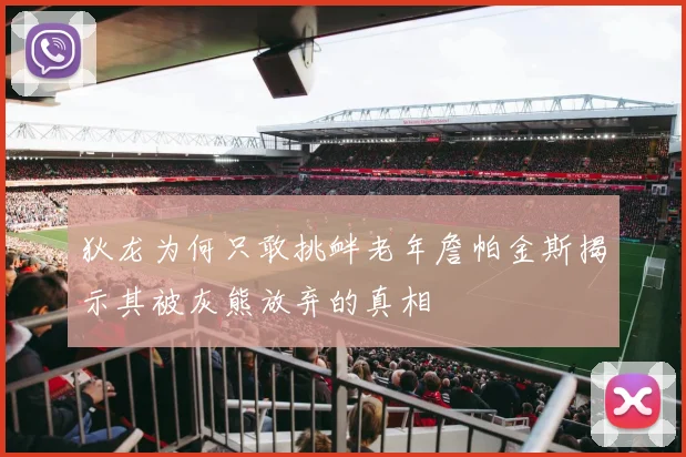 狄龙为何只敢挑衅老年詹帕金斯揭示其被灰熊放弃的真相