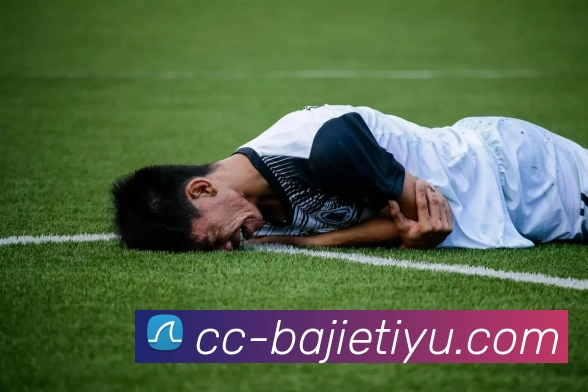 八戒体育APP 封面图